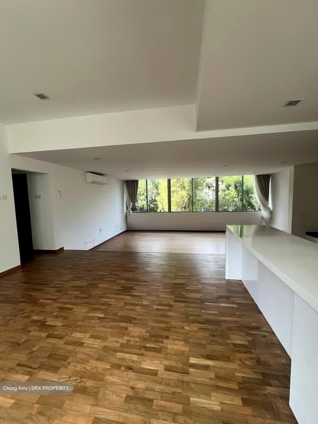Nassim Regency (D10), Condominium #556326261